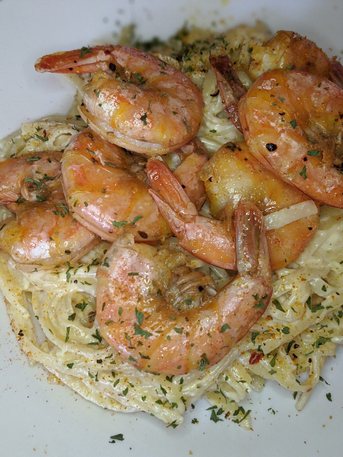 Shrimp alfredo over linguine, finished with parsley